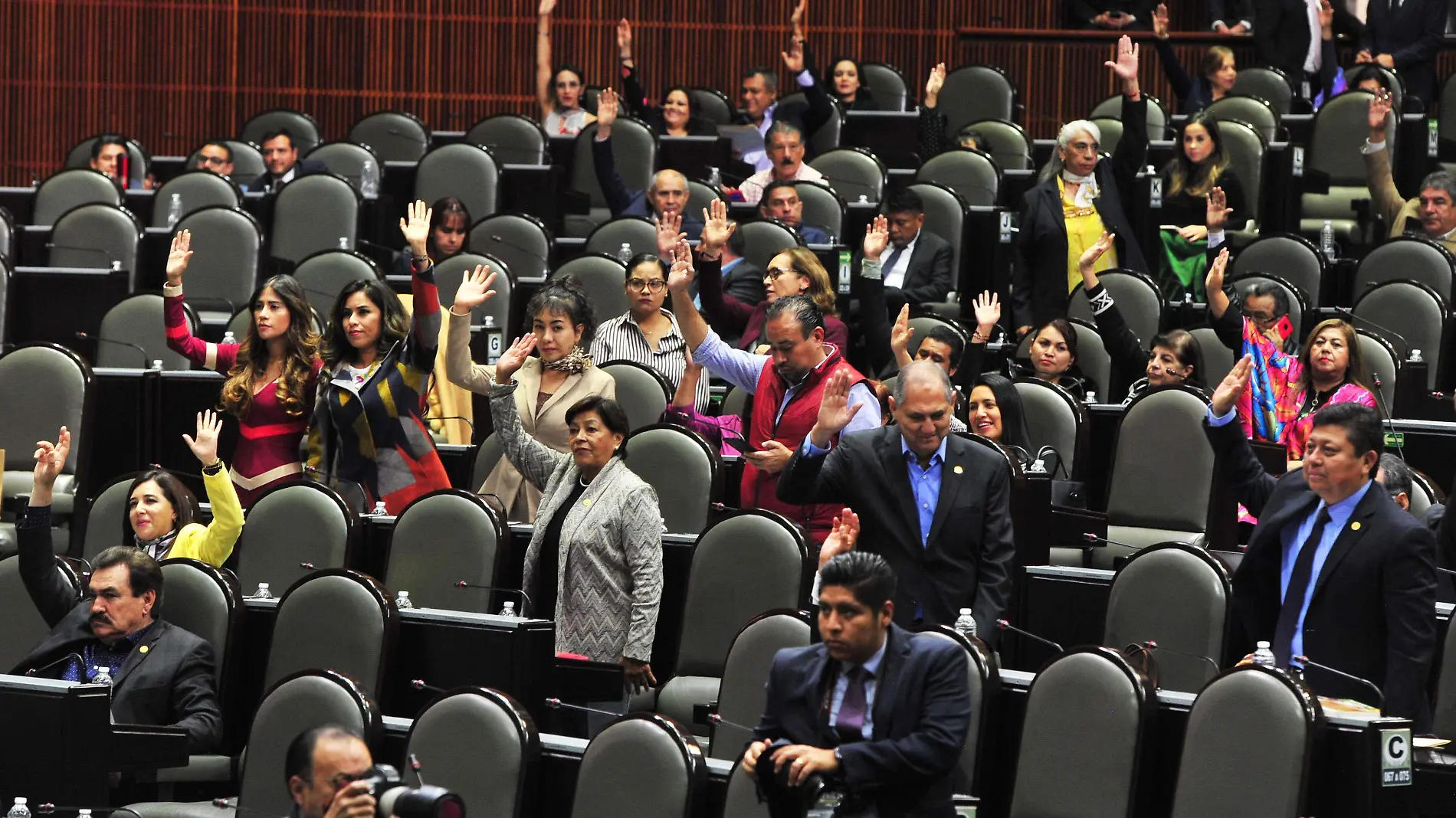 DIPUTADOS laura lovera (2)